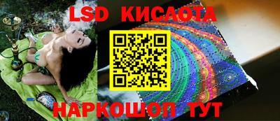 jwh Будённовск