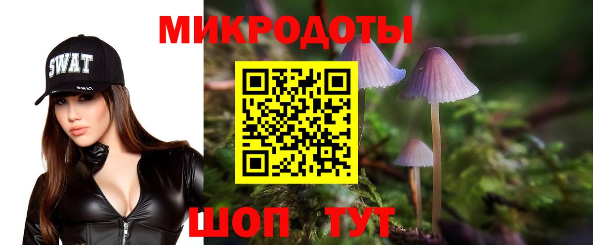 Псилоцибиновые грибы GOLDEN TEACHER  Вход с VPN  Саранск 
